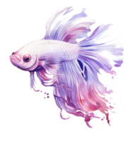 Beautiful siamese fish isolated png