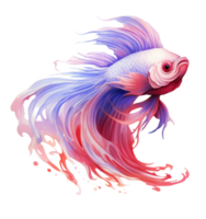 Beautiful siamese fish isolated png