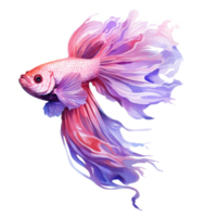 Beautiful siamese fish isolated png