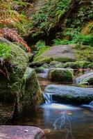 Long exposure flowing water at Grand Canyon Loop Blue Mountains NSW Australia photo
