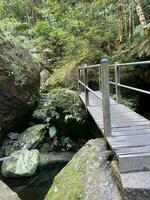 Grand Canyon Walk Katoomba NSW photo