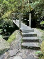 Grand Canyon Walk Katoomba NSW photo