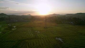 Aerial move toward electric tower in morning sunrise video