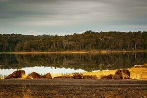 Reflections on dam photo