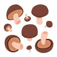 Brown mushrooms cartoon vector set