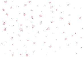 Sakura flying petals, romantic background. vector