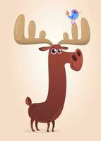 Funny cartoon moose character. Vector moose illustration isolated.