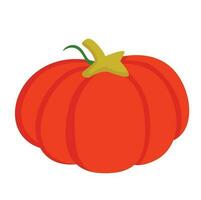 Orange Pumpkin Fruits Cartoon Illustration Vector Clipart Sticker