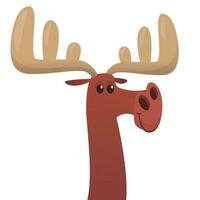 Funny cartoon moose character. Vector moose illustration isolated.