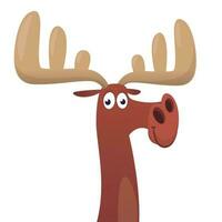 Funny cartoon moose character. Vector moose illustration isolated.