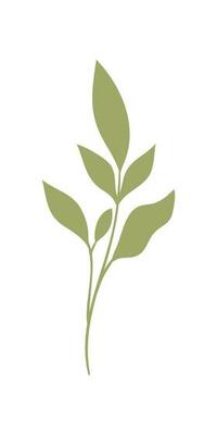 Gardening Element Illustration. Plant And Flower Illustration. Summer, Spring Season Elements.