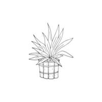 Hand drawn plant in a wooden pot. Wooden pot and large green leaves. Object for decoration. vector