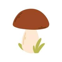 Mushroom in flat style. Vector illustration. Hand drawn isolated boletus.