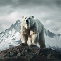 realistic photograph of a polar bear on a mountain top photography AI Generated Image photo