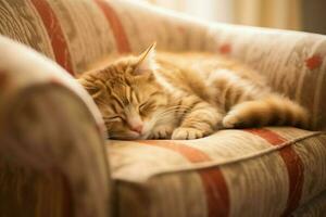 linda gato dormido o descansando en el sofá a hogar. perezoso gato dormido en el sofá. gato día concepto por ai generado foto