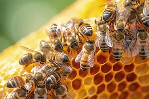 honey bees on honeycomb in apiary in summertime, Honey bees communicate with each other, AI Generative photo