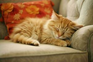 Cute cat sleeping or resting on the sofa at home. Lazy cat sleeping on the sofa. Cat day concept by AI Generated photo