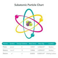 Subatomic Particle Chart educational vector illustration infographic