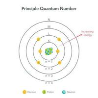 Principle quantum number vector illustration graphic