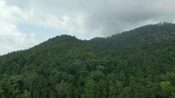 majestätisch Berg Landschaft umgeben durch üppig Grün Bäume unter ein dramatisch wolkig Himmel video