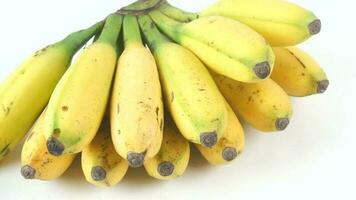 une bouquet de bananes sur une blanc Contexte video