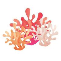 vector mano dibujado vistoso coral colección