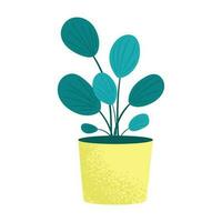 Vector flat houseplant collection