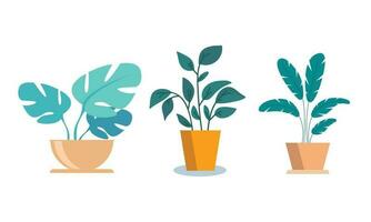 Vector flat houseplant collection