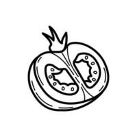 Tomato slices icon design isolated on white background vector
