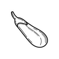 Eggplant icon design isolated on white background vector