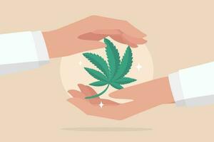 Cannabis care program, marijuana alternative medicine, legalize medical, weed or ganja concept, doctor hand holding cannabis green leaf. vector