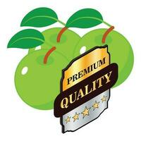 Organic apple icon isometric vector. Fresh green apple and premium quality sign vector