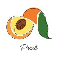 Vector illustration of peach with lettering