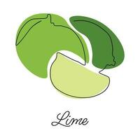 Vector illustration of lime with lettering