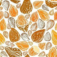 Almond nuts seamless pattern. Vector seed, shell