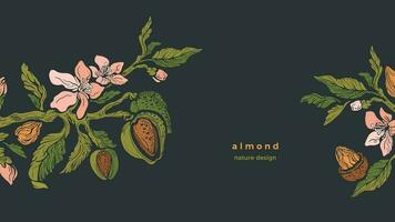 Almond template Vector tree, branch, nuts Bio food