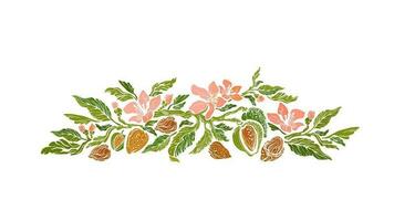 Almond band of nuts, flower in bloom, green leaves vector