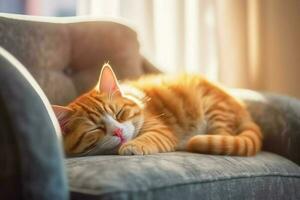 Cute cat sleeping or resting on the sofa at home. Lazy cat sleeping on the sofa. Cat day concept by AI Generated photo