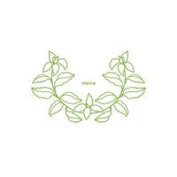 Stevia simple symbol. Vector branch, sugar leaf