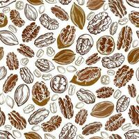 Pecan nut. Vector seamless pattern. Texture grains