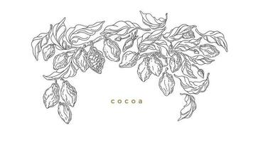 Cocoa border. Graphic vector. Art line plantation vector