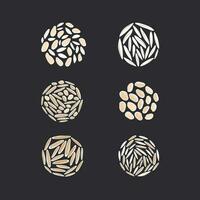 Rice texture set Vector cereals types in circle