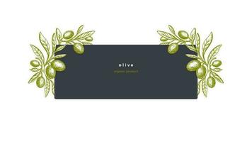 Olive label Vector texture tree, green fruit, leaf