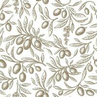 Olive seamless pattern Vector antique illustration