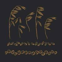 Oats seed, flakes, spica set. Graphic drawn sketch vector