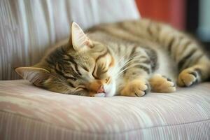 linda gato dormido o descansando en el sofá a hogar. perezoso gato dormido en el sofá. gato día concepto por ai generado foto