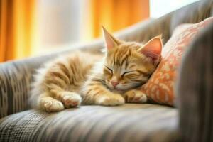 linda gato dormido o descansando en el sofá a hogar. perezoso gato dormido en el sofá. gato día concepto por ai generado foto