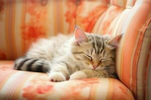 Cute cat sleeping or resting on the sofa at home. Lazy cat sleeping on the sofa. Cat day concept by AI Generated photo