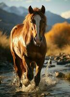 A wild horse running in the creek. Wild or farm animals concept by AI Generated photo