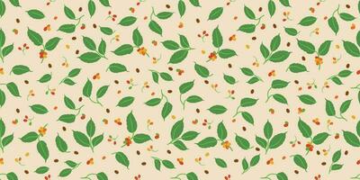 Coffee Berry And Leaves Seamless Pattern Background vector